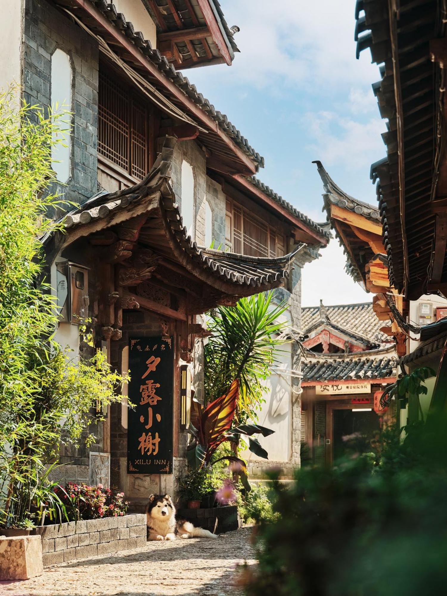 Xilu Xiaoxie Inn Old Town Lijiang Lijiang  Exteriör bild