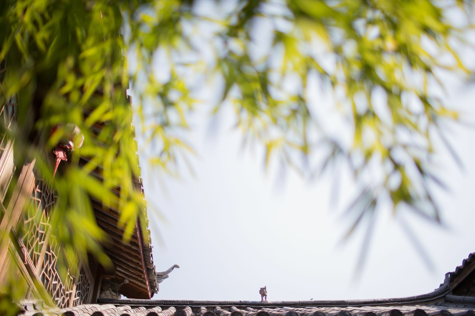 Xilu Xiaoxie Inn Old Town Lijiang Lijiang  Exteriör bild