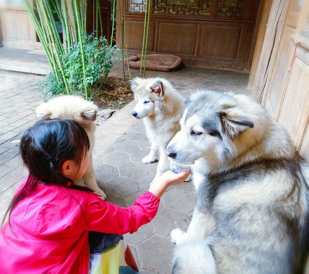 Xilu Xiaoxie Inn Old Town Lijiang Lijiang  Exteriör bild